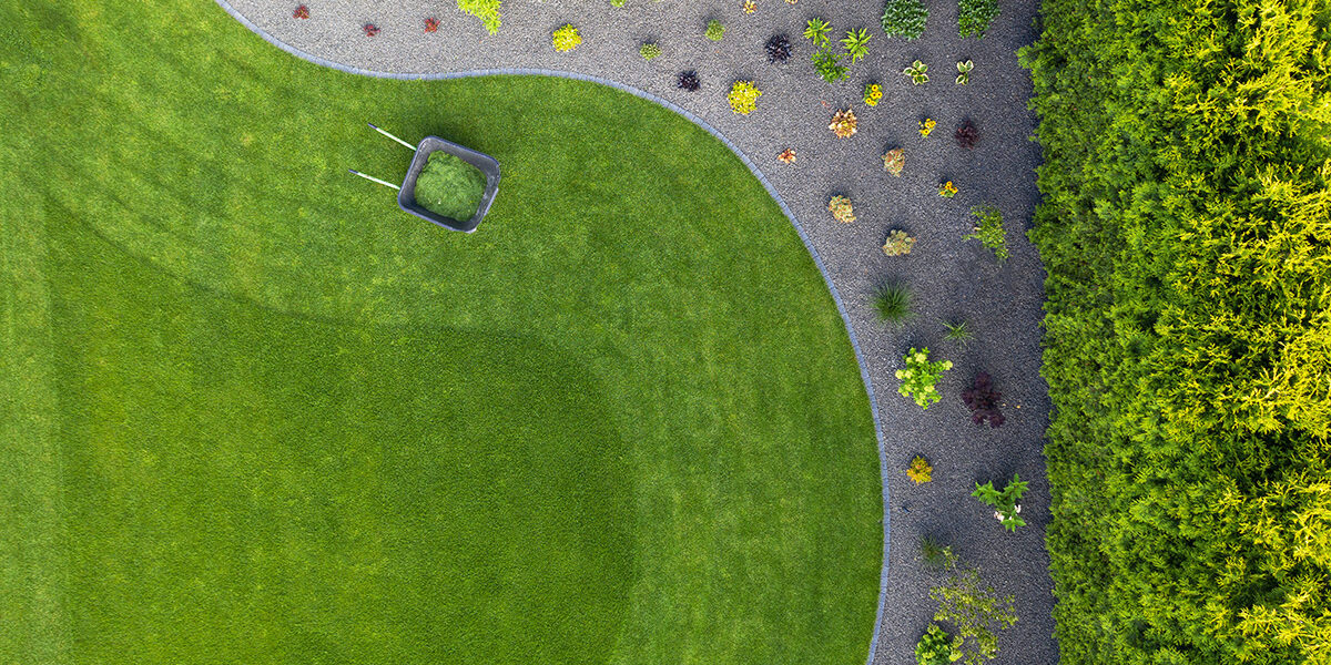 taking-car-of-residential-backyard-lawn-2022-12-16-11-45-04-utc