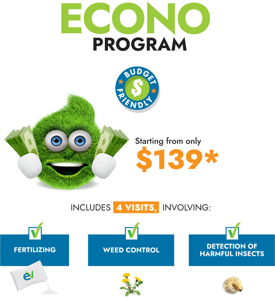 Econo Program