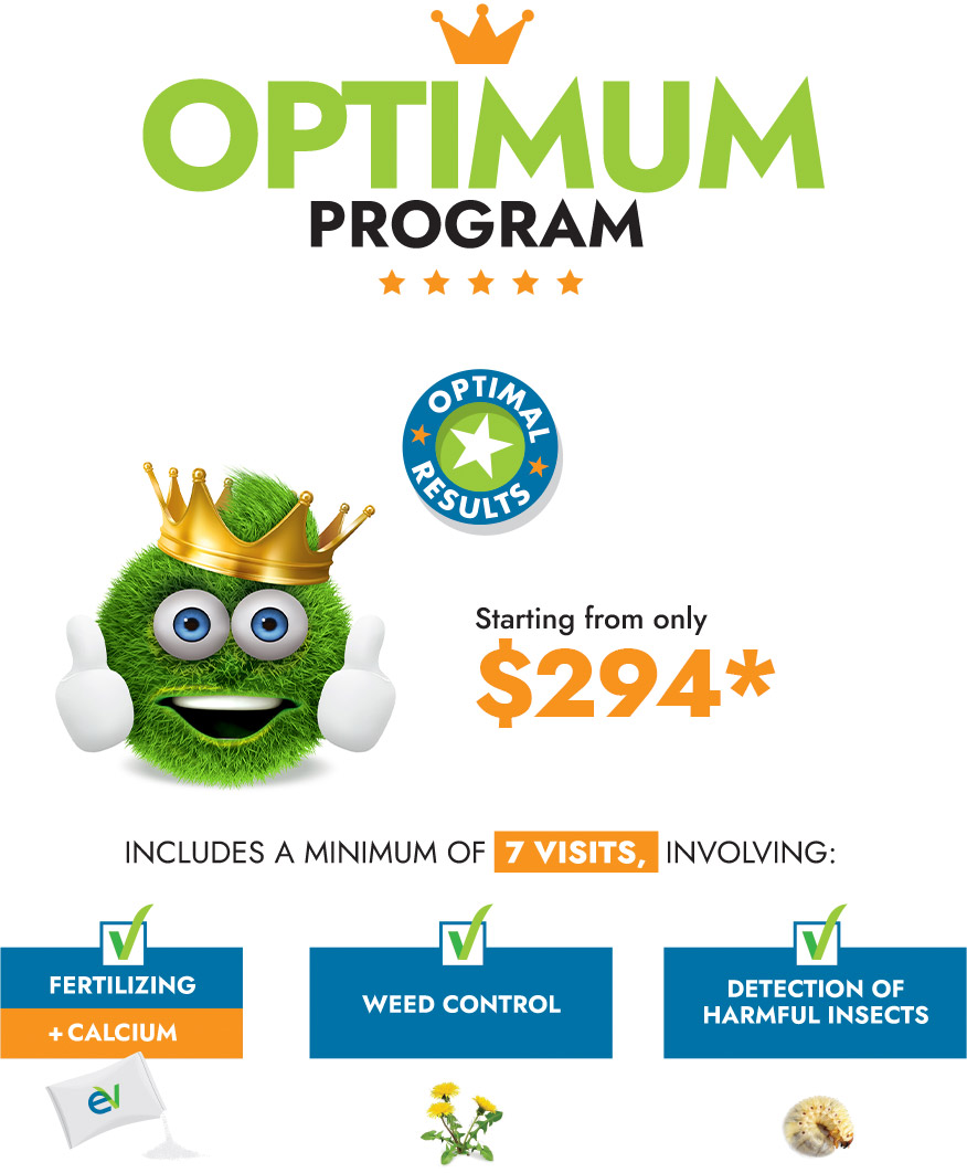 OPTIMUM Program