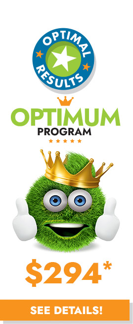 OPTIMUM Program