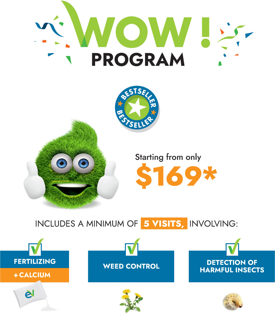 WOW! Program