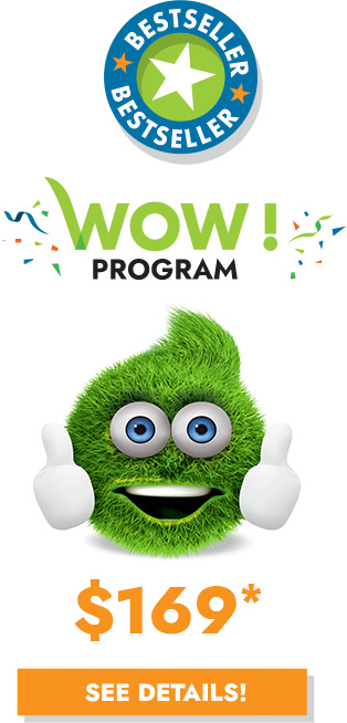 WOW Program