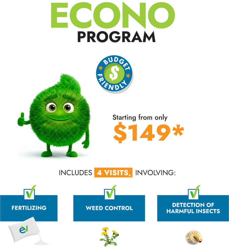 Econo program